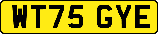 WT75GYE