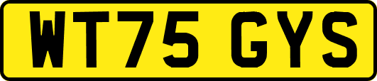WT75GYS