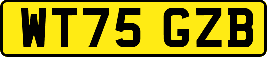 WT75GZB