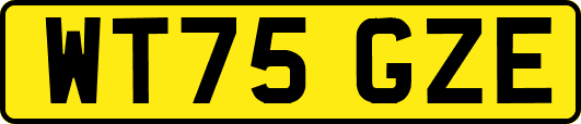 WT75GZE