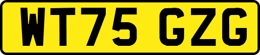 WT75GZG