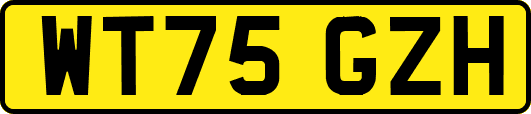 WT75GZH