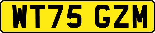 WT75GZM