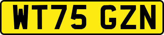 WT75GZN