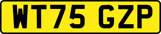 WT75GZP
