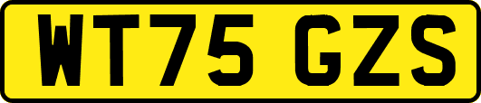 WT75GZS