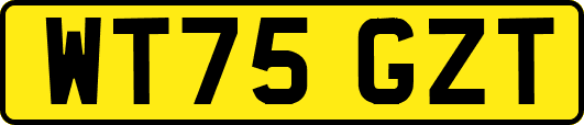WT75GZT