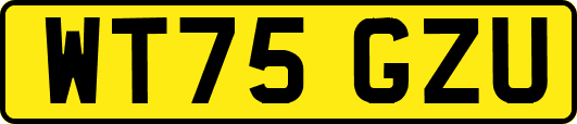 WT75GZU