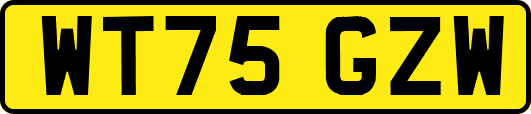 WT75GZW