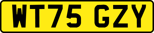WT75GZY
