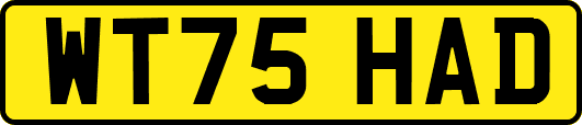 WT75HAD