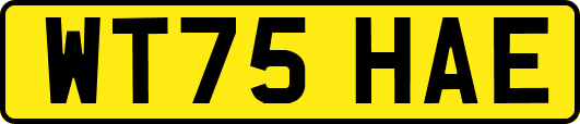 WT75HAE