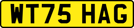 WT75HAG