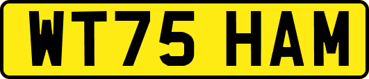WT75HAM