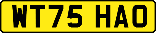 WT75HAO