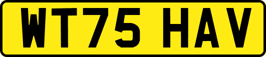 WT75HAV