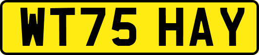 WT75HAY