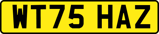 WT75HAZ