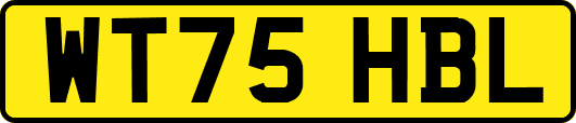 WT75HBL