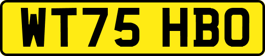 WT75HBO
