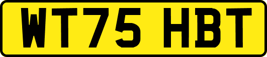 WT75HBT