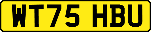 WT75HBU