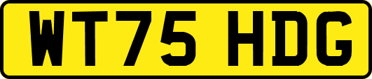 WT75HDG