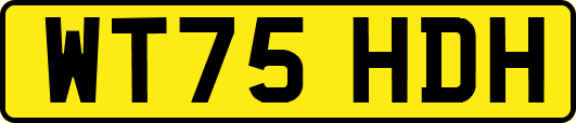 WT75HDH