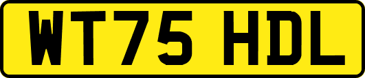 WT75HDL