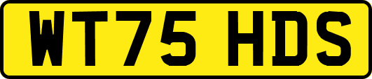 WT75HDS