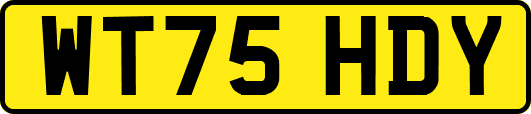 WT75HDY
