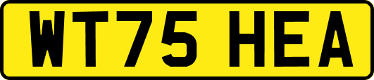 WT75HEA
