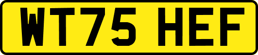 WT75HEF