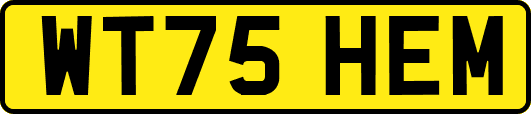 WT75HEM