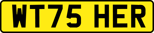 WT75HER