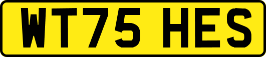 WT75HES