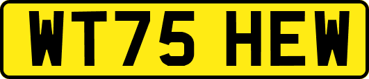 WT75HEW