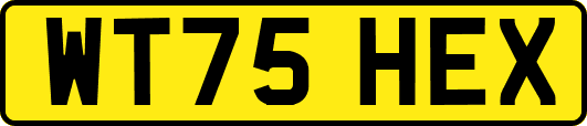 WT75HEX