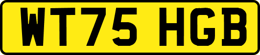 WT75HGB