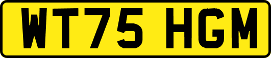 WT75HGM