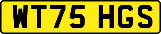 WT75HGS