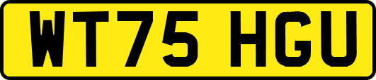 WT75HGU