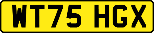 WT75HGX