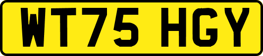 WT75HGY