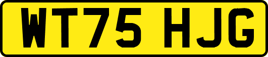 WT75HJG