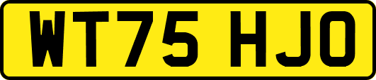 WT75HJO