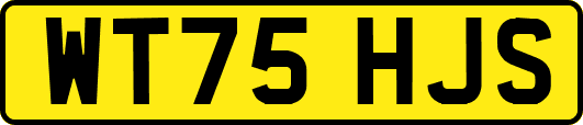 WT75HJS