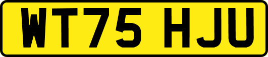 WT75HJU