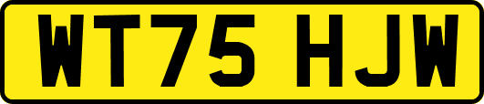 WT75HJW