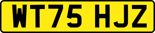WT75HJZ